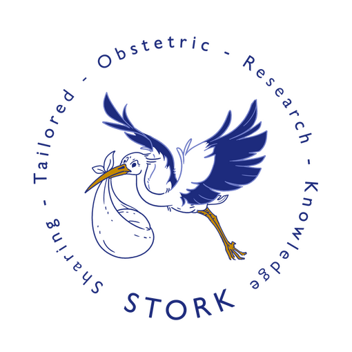 STORK research group